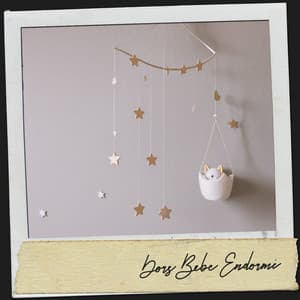 Dors Bébé Endormi : Berceuses pour Rêver - Cat Music