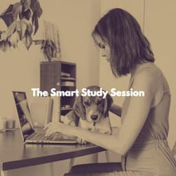The Smart Study Session - Musica Jazz Instrumental