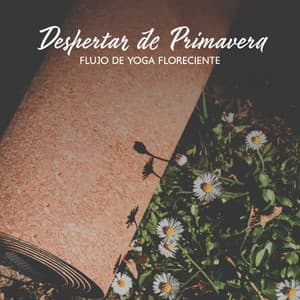 Despertar de Primavera: Flujo de Yoga Floreciente, Asanas de Primavera de Desintoxicación - Academia de Música Con Sonidos de la Naturaleza