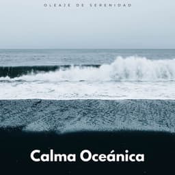 Calma Oceánica: Oleaje De Serenidad - Misterios del océano
