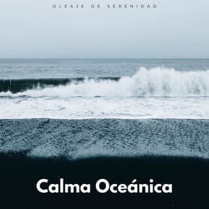 Calma Oceánica: Oleaje De Serenidad - Misterios del océano