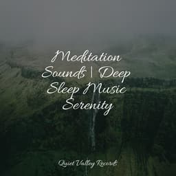 Meditation Sounds | Deep Sleep Music Serenity - Sleep Recording Sounds