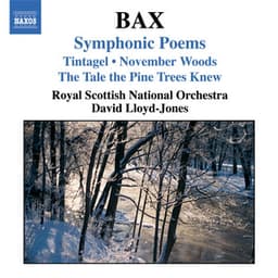 Bax: Symphonic Poems - Arnold Bax