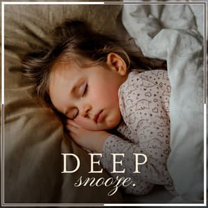 Deep Snooze - Flows of Sleep
