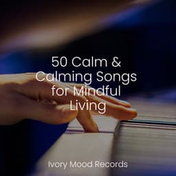 50 Calm & Calming Songs for Mindful Living - Music That Will Make You Cry