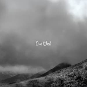 Ash and Horizon - Osin Wood