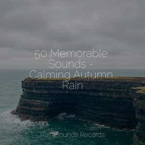 50 Memorable Sounds - Calming Autumn Rain - Sounds of Nature Relaxation