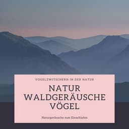 Natur Waldgeräusche Vögel: Vogelzwitschern in der Natur: Naturgeräusche zum Einschlafen - Entspannungsmusik Oase