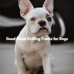 Good Mood Chilling Tracks for Dogs - New Orleans Jazz Band