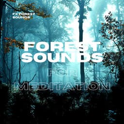 Forest Sounds for Meditation - FX Forest Sounds