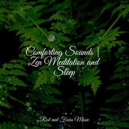 Comforting Sounds | Zen Meditation and Sleep - Relaxamento