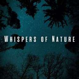 Whispers of Nature: Binaural Sleepscape for Deep Rest - Nature Ambience