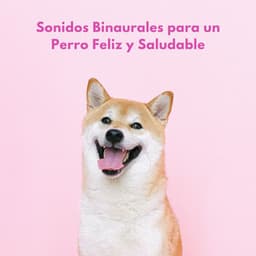 Sonidos Binaurales Para Un Perro Feliz Y Saludable - Ondas de música para perros