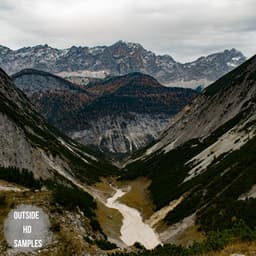 The Pulse of Nature Through Sound - Dormiente