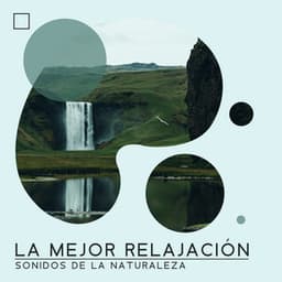 La Mejor Relajación - Sonidos de la Naturaleza: Relajación, Meditación y Dulces Sueños, Musicoterapia Natural y Música Relajante - Academia de Sonidos de la Naturaleza para Dormir