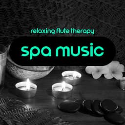 Relaxing Flute Therapy: Spa Music for Massages, Wellness and Regeneration of the Body - Flute Music Ensemble
