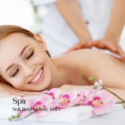 Spa: Soft Rain Melody Vol. 1 - Nature Sounds Nature Music