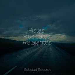 Pistas Musicales Relajantes - Musica para Meditar Especialistas