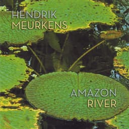 Amazon River - Hendrik Meurkens