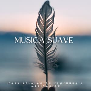 Música Suave Para Relajación Profunda Y Meditación - Effectum