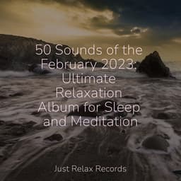 50 Sounds of the February 2023: Ultimate Relaxation Album for Sleep and Meditation - Children's Music
