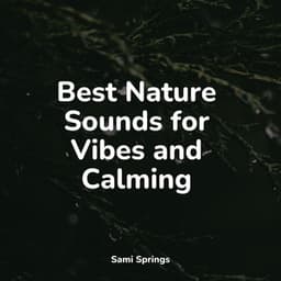 Best Nature Sounds for Vibes and Calming - White Noise Sound Garden