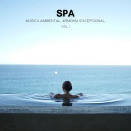 Spa: Música Ambiental Armonía Excepcional Vol. 1 - Meditación Con Ruido Rosado