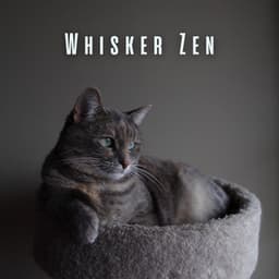 Whisker Zen: Calming Tunes for Cat Meditation - The Meditations