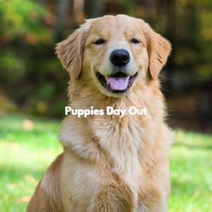 Puppies Day Out - Lunch Time Jazz