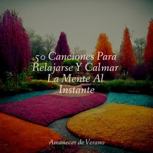 50 Canciones Para Relajarse Y Calmar La Mente Al Instante - Lounge Music Café