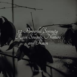 50 Powerful Serenity Rain Sounds, Nature and Rain - Música relaxante