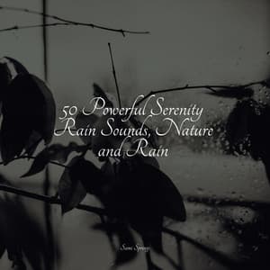 50 Powerful Serenity Rain Sounds, Nature and Rain - Música relaxante