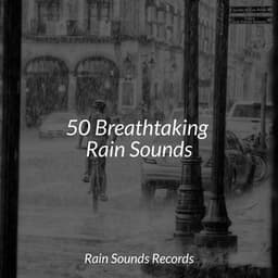 50 Breathtaking Rain Sounds - Ocean Waves For Sleep