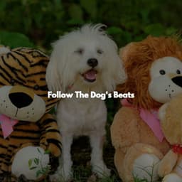 Follow The Dog's Beats - Música de la Oficina