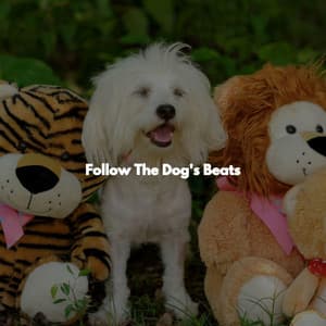 Follow The Dog's Beats - Música de la Oficina
