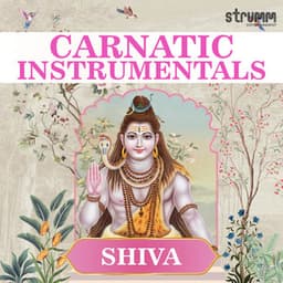 Carnatic Instrumentals - Shiva - Ramachandra Murthy