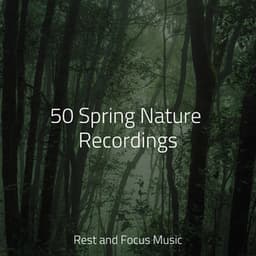50 Spring Nature Recordings - Deep Focus