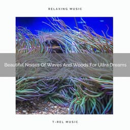 Beautiful Noises Of Waves And Woods For Ultra Dreams - Noise Gravity