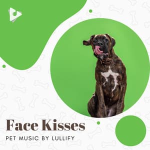 Face Kisses - Pet Music by Lullify