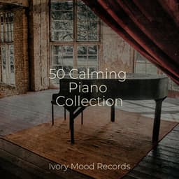 50 Calming Piano Collection - Music That Will Make You Cry