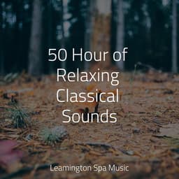 50 Hour of Relaxing Classical Sounds - PowerThoughts Meditation Club