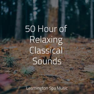 50 Hour of Relaxing Classical Sounds - PowerThoughts Meditation Club