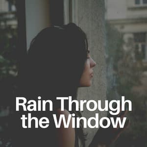 Rain Through the Window - Pro Sound Effects Library