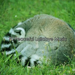 70 Peaceful Lullabye Music - Sleepy Night Music