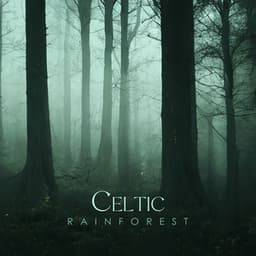 Celtic Rainforest - Scoty Hukbey