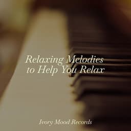 Relaxing Melodies to Help You Relax - Piano for Studying