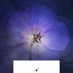 Trumpet Bossa - Background for Resting Aprils - French Cafe Jazz Society