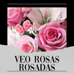 Veo Rosas Rosadas - Meditación Con Ruido Rosado