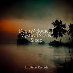 Deep Melodies | Mystical Spa & Sleep - Chinese Relaxation and Meditation