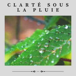 Clarté Sous La Pluie - Sons De Pluie